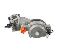 Fangxuee Kit Carburador Generador Gasolina LPG168 GX160 GX200 168F 3-5KW Accesorios