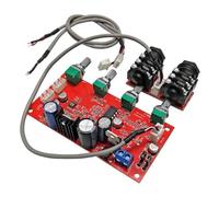 Fangxuee Placa Amplificadora de Micrófono Digital PT2399 de 7 V CC y 24 V CC, Placa de Karaoke, Preamplificador y Reverberador.
