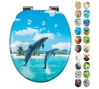 Fanmitrk Asiento de inodoro con dispositivo de descenso automático, tapa de inodoro de alta calidad, estable y no se tambalea, núcleo de madera de densidad media, fácil montaje, muchos diseños bonitos