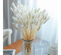 FANNAS Pampas Secas Decoracion 60 Piezas de Flores Secas Naturales Decoración, Pampa Hierba Hierba Cola de Conejo Hierba Boho Decor Super Fluffy for Home Decor, Decoracion Boda (Blanco)