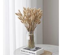 FANNAS Pampas Secas Decoracion 60 Piezas de Flores Secas Naturales Decoración, Pampa Hierba Hierba Cola de Conejo Hierba Boho Decor Super Fluffy for Home Decor, Decoracion Boda (Color Natural)