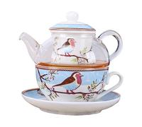 fanquare Juego de Té para Una Persona de Pájaros y Flores de Petirrojo Azul, Juego de Tetera con Taza de Café y Platillo de Porcelana con Tetera de Vidrio