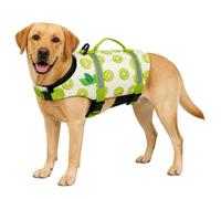 FANSU Chaleco Salvavidas para Perros con Asa de Rescate, Chaleco de Flotación Reflectante para Piscina y Playa, Ajustable para Perros Pequeños, Medianos y Grandes (XS,Kiwi)