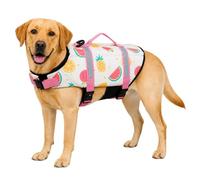 FANSU Chaleco Salvavidas para Perros con Asa de Rescate, Chaleco de Flotación Reflectante para Piscina y Playa, Ajustable para Perros Pequeños, Medianos y Grandes (L,Piña)