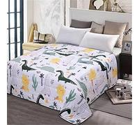 Fansu Colcha Acolchada Fina Suave Cubrecama Rellenos Finos Toda Temporada Edredón Reversible Estampada Colchas Bouti Cama 90/135/150, Manta para Sofa (Dinosaurio,170x200cm)