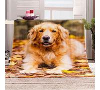 Fansu Manta de Franela Reversible, Suave Acogedora y Cálida Manta 3D Estampado Microfibra Cubierta de Cama Mantas de Sofa Cama para Adultos y Niños (130x150cm,Golden Retriever)