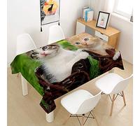Fansu Manteles de Mesa Rectangular para Decorar, Impermeable Antimanchas Comedor Cuadrada de Impresión Lindo Gato Manteles para Cocina/Cena/Picnic Decoración (Pareja,100x140cm)