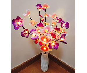 Fantasee Luces de ramita de orquídea 20 luces LED artificiales de rama de Phalaenopsis alimentadas por pilas luces de decoración flexibles para el hogar tienda ventanas (paquete de 2, rosa + morado)