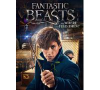 Fantastic Beasts and Where to Find Them (DVD) Eddie Redmayne (Importación USA)