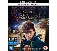 Fantastic Beasts And Where To Find Them [Edizione: Regno Unito] [4k Ultra-HD + Blu-Ray]