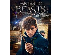 Fantastic Beasts and Where to Find Them [USA] [DVD]