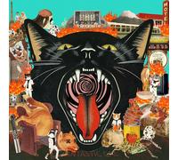 The Orchard – Cat Out of Hell – Vinilo