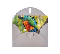 Fantásticas tarjetas de regalo con estampado de plumas de loro, tarjetas de cumpleaños unisex, tarjetas de agradecimiento con sobres