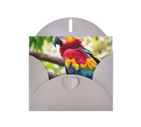 Fantásticas tarjetas de regalo con estampado de plumas de loro, tarjetas de cumpleaños unisex, tarjetas de agradecimiento con sobres