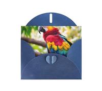 Fantásticas tarjetas de regalo con estampado de plumas de loro, tarjetas de cumpleaños unisex, tarjetas de agradecimiento con sobres
