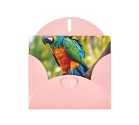Fantásticas tarjetas de regalo con estampado de plumas de loro, tarjetas de cumpleaños unisex, tarjetas de agradecimiento con sobres