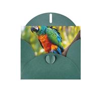 Fantásticas tarjetas de regalo con estampado de plumas de loro, tarjetas de cumpleaños unisex, tarjetas de agradecimiento con sobres