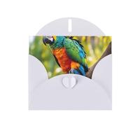 Fantásticas tarjetas de regalo con estampado de plumas de loro, tarjetas de cumpleaños unisex, tarjetas de agradecimiento con sobres