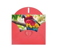 Fantásticas tarjetas de regalo con estampado de plumas de loro, tarjetas de cumpleaños unisex, tarjetas de agradecimiento con sobres