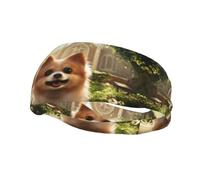 Fantásticas y adorables diademas de sudor para perros para mujeres y hombres, patrones personalizados únicos, diadema ancha antideslizante para correr, gimnasio, yoga y más, accesorios elegantes para