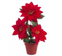 Fantastiko Maceta Flor Pascua ponsetia 22 cm