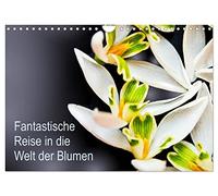Fantastische Reise in die Welt der Blumen (Wandkalender 2026 DIN A4 quer), CALVENDO Monatskalender: perfekter Jahresbegleiter für Liebhaber einheimischer Blumen