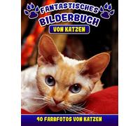 Fantastisches Katzen Bilderbuch: Katzen Fotobuch. Demenz Beschäftigung für Senioren. Enthält die Namen der Katzenrassen.