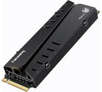 fanxiang SSD 4TB M.2 2280 PCIe 4.0,hasta 7300 MB/s, ssd nvme 4tb,con disipador de Calor, configurar DRAM, Compatible con PS5, computadora portátil, computadora de Escritorio