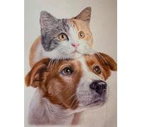 FanZheZhe Juego De Punto De Cruz Preimpreso, 11 Ct, Plantillas De Bordado Para Principiantes Y Adultos, Kit Completo De Bordado Para Arte De Pared, Retrato De Mascota 11Ct40X50Cm