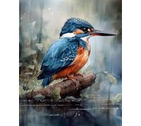 FanZheZhe Kit punto de cruz tela impresa Patrón de martín pescador Embroidery Bordado Completo Esquemas para Principiantes Patrones Contado 40x50cm