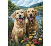 FanZheZhe Kits De Punto De Cruz Con Estampado De Kit De Punto De Aguja De Patrón Fácil Impreso Colorido Para Adultos Principiantes Regalo Animales, Golden Retriever 40X50Cm