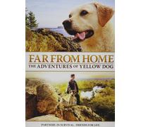 Far From Home - The Adventures Of Yellow Dog (DVD) Mimi Rogers (Importación USA)