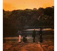 Far Out Fangtooth - Pure & Disinterested [Vinilo]