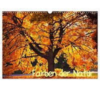 Farben der Natur (Wandkalender 2026 DIN A3 quer), CALVENDO Monatskalender: farbenreiche Naturaufnahmen