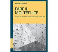 Fare il molteplice. Il diritto privato alla prova del comune (Diritto al presente)