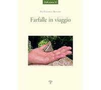 Farfalle in viaggio (Dalla stanza)