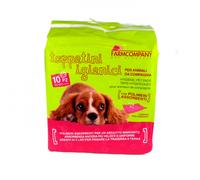 Farm Company Tapete higiénico - Mediciones: 60 x 60 cm | Cantidad: 40 unidades