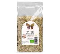 Farmacia Trigo SARRACENO Grano Eco (500gr)