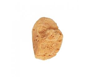 Farmatick Esponja Natural Marina, PEQUEÑA, Negro, Estándar