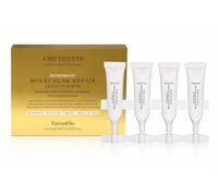 Farmavita Amethyste Biomimetic Molecular Repair Leave-In Serum (5 x 5 ml)
