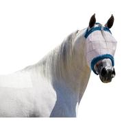 Farnam SuperMask II Classi - Máscara para Moscas de Caballo, tamaño árabe, Surtido