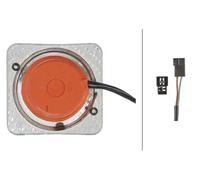 Faro adicional de halógeno Montaje Cristal dispersor con dibujos 1GA 996 020-001