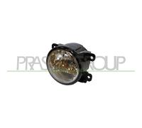 Prasco Faro antiniebla FT3444433 para Alfa Romeo y Fiat (Punto, Panda, Stelvio)