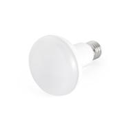 Faro Barcelona 17477 - Bombilla R80 E27 12W LED 2700K