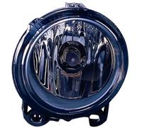 Faro Fendinebbia Delantero para Bmw X5 E53 2004-2007 Lado Derecho 88356