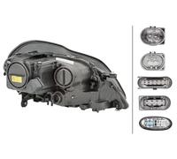 Ópticas / Faros / Bombillas > Ópticas y faros > Faro principal