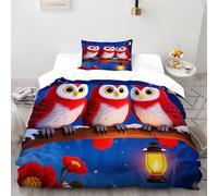 Farol de búhos Funda De Edredón 2 Piezas 3D Impresa Winter Snowy Birds con 1 Fundas De Almohada Single（135x200cm） 100% Microfibra Juego De Cama para para Niñosy Hombres