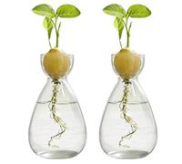 FARYODI Macetero de cultivo hidropónico, 2 unidades, semillas de aguacate, jarrón de iniciación, hidroponía, terrario, para amantes de las plantas, plantas acuáticas o flores, decoración de mesa de