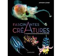 Fascinantes créatures: La vie secrète des animaux des abysses