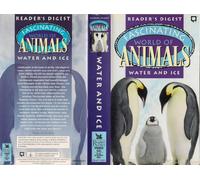 fascinating world of animals -water and ice